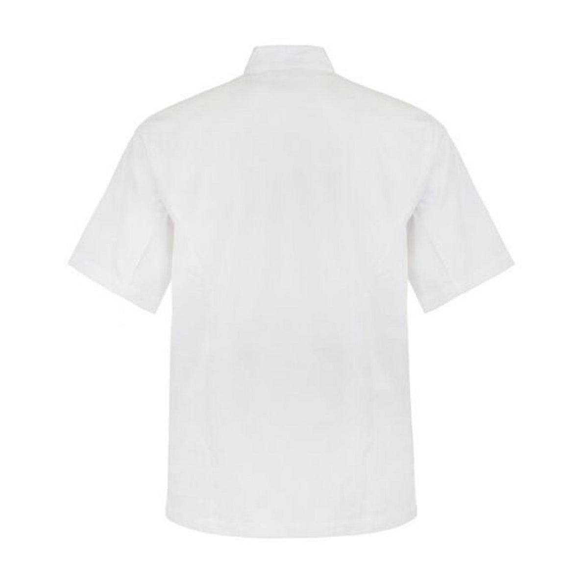 white short sleeve executive chefs jacket with press studs back view